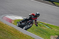 cadwell-park;cadwell-park-photographs;cadwell-trackday-photographs;enduro-digital-images;event-digital-images;eventdigitalimages;peter-wileman-photography;racing-digital-images;trackday-digital-images;trackday-photos